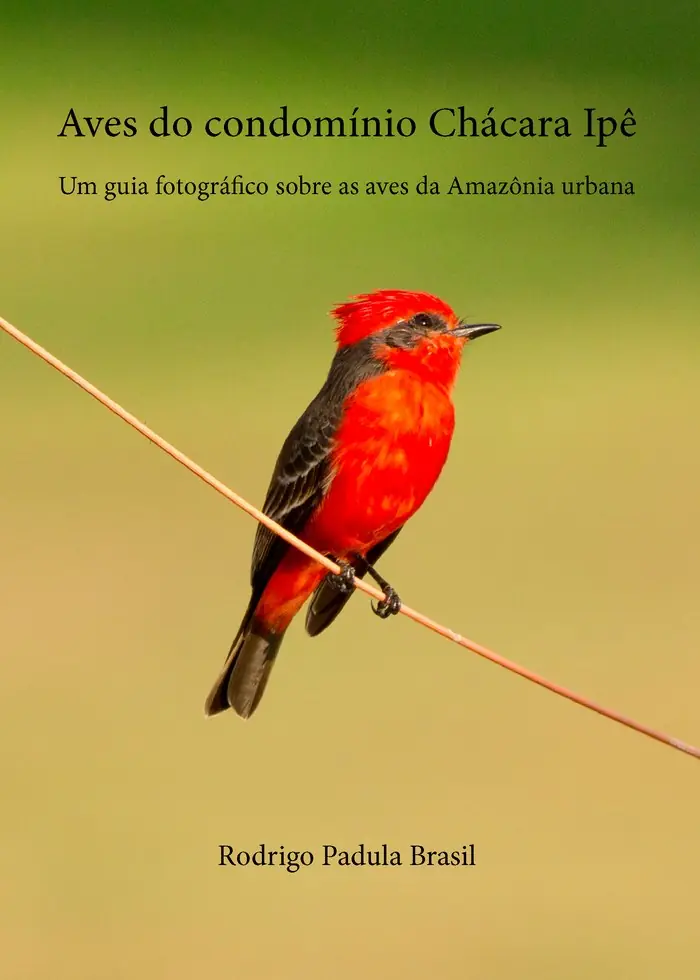 Capa do livro Aves do condomínio Chácara Ipê
