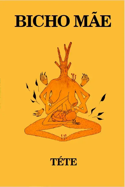 Capa do livro Bicho mãe, de Tête